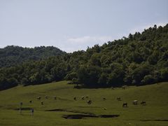-关山草原