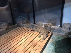 -未来动物城动物主题公园(大悦城店)