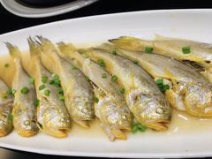 清蒸梅童-高佳庄·舟山海鲜(海景旗舰店)