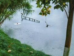 -重庆彩云湖湿地公园