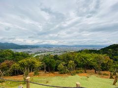 -岚山猴子公园