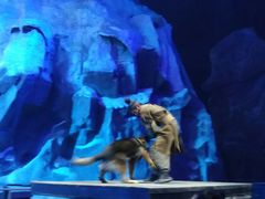 -华夏文旅海洋公园