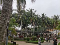 -沙美村