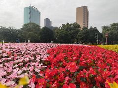 -广州中山纪念堂