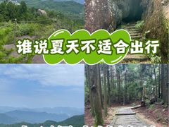 -玉苍山国家森林公园