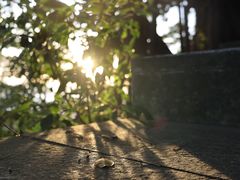 -小南山公园