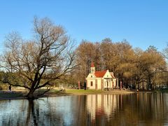 -上海共青森林公园