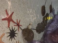 -福州罗源湾海洋世界旅游区