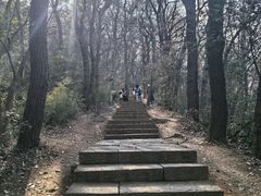 -九曜山