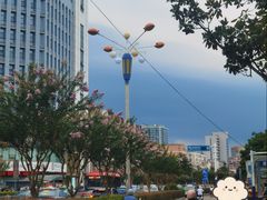 -皖北巫氏三胖地锅鸡(长淮总店)