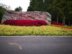 -东平国家森林公园