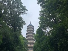 -灵谷景区