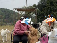 -趣多多宠物公园·宠物训犬学校·宠物寄养