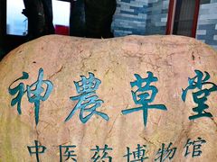 -广州神农草堂中医药博物馆