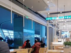 -合肥新桥国际机场-航站楼