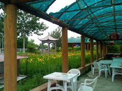 -北京龙庆四季香农家饭庄·灶台鱼·碳烤虹鳟鱼(龙庆峡店)