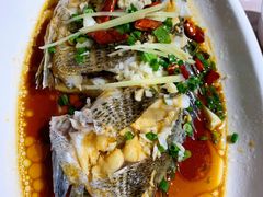 海鲫鱼-阿杰臻选海鲜饭店(普陀山店)