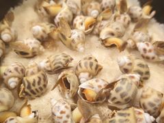 -三亚火车头万人海鲜广场