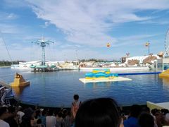 -秦皇岛乐岛海洋王国