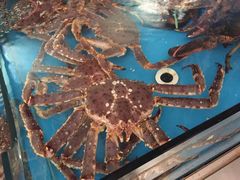 辣炒帝王蟹-蟹之国·精品蟹料理(极地店)