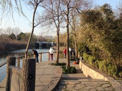 IMG_5666-新江湾城公园