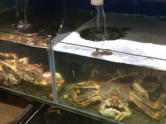 -蚝专家(北滘店)