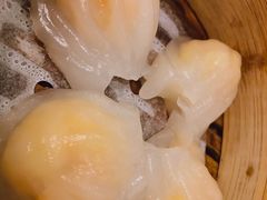 虾饺-捷信牛奶甜品世家(五道口店)