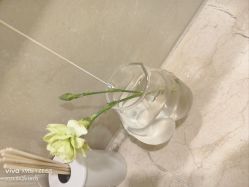 -HEYAN荷妍专业脱毛连锁机构