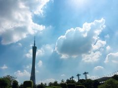 -广州都市观光巴士(粤陶巴)
