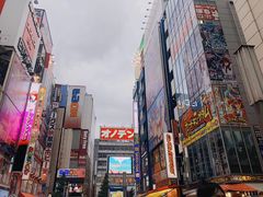 -秋叶原电器街