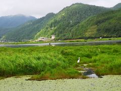-腾冲北海湿地