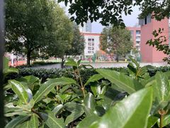 -上海市黄浦区教育学院附属中山学校