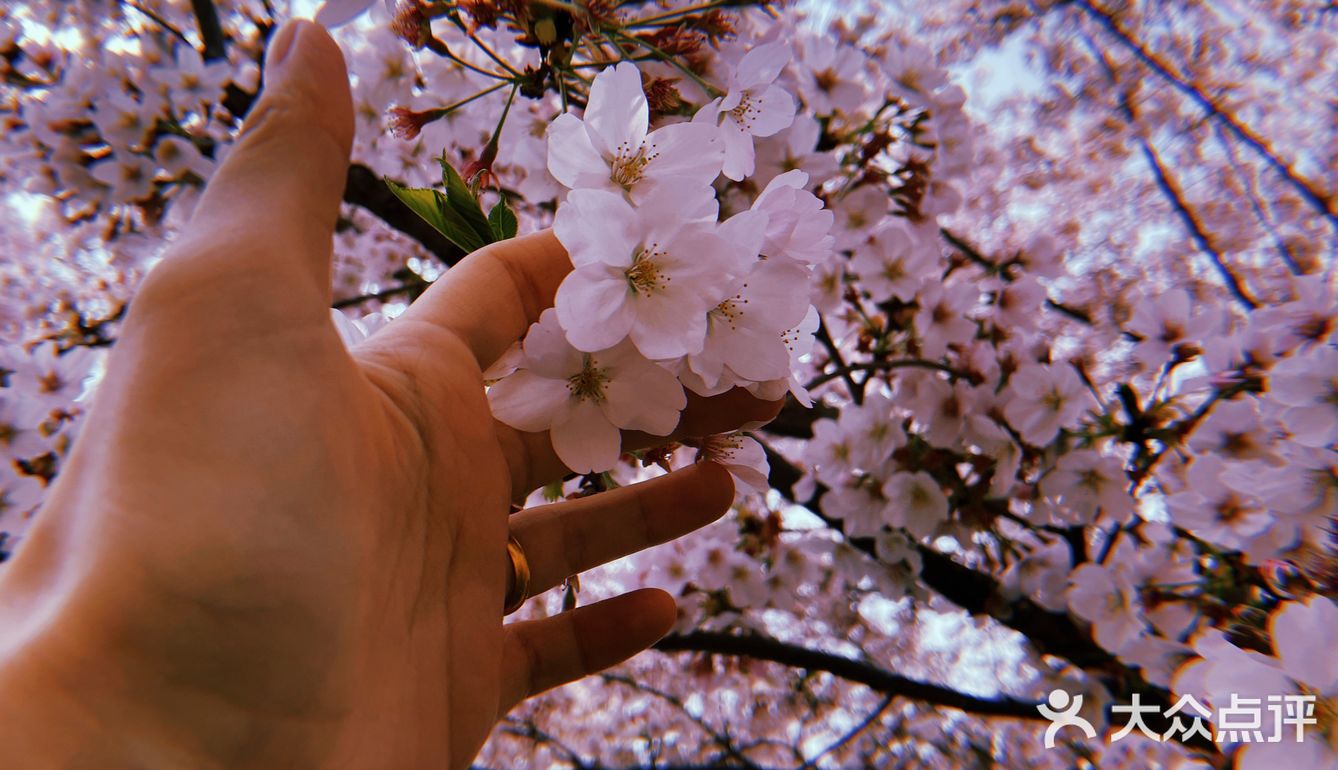 团建的意外惊喜