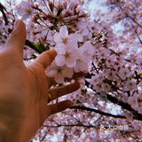 团建的意外惊喜