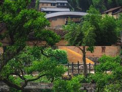 -杨家堂村