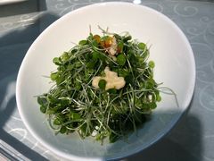 -峨嵋酒家总店(车公庄店)
