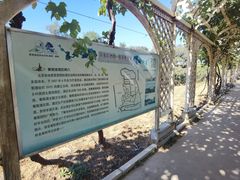 -北京张裕爱斐堡酒庄