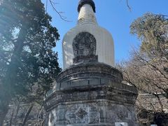 -大觉寺-停车场