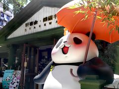 -轩客会(熊猫书店)