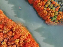 -上海海湾国家森林公园