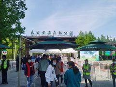 -黄海国家森林公园