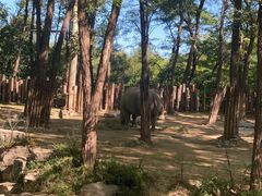 -北京野生动物园