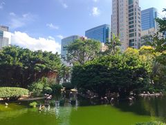 -九龙公园