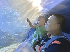 -中央电视塔旋转餐厅