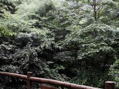 -溪口-滕头旅游景区