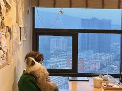 -猫小主咖啡·猫咖cat cafe(福田店)