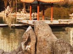 -西苑公园
