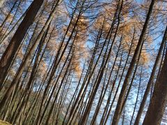 -硗碛藏寨·神木垒景区