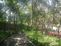 -厦门国家会计学院