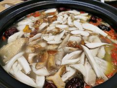 -蘑统田下·野生菌火锅